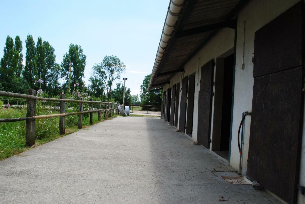 Le Langon Ecurie De La Grange L'Abbe 아파트 외부 사진